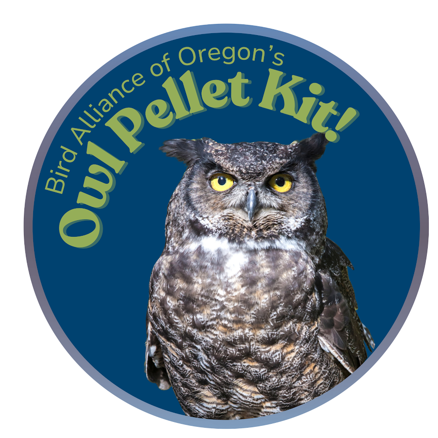BAO Owl Pellet Kit