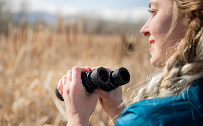 Nikon Prostaff P7 8x42