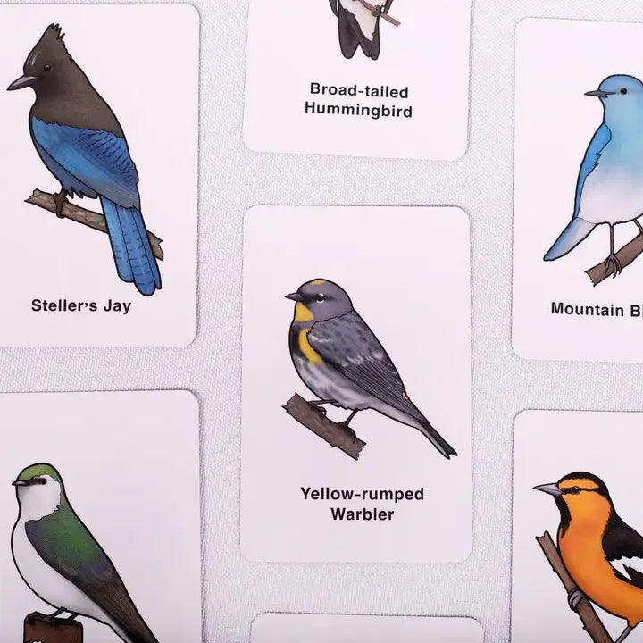 Bird Match Game - Rocky Mountain Edition