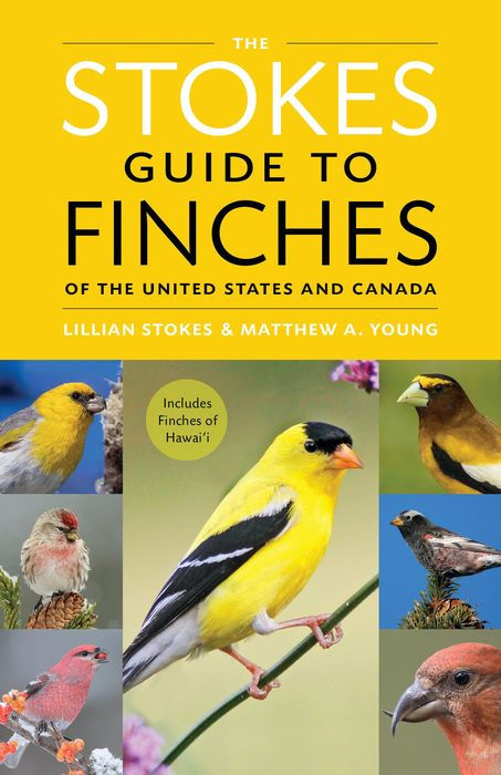 Stokes Guide to Finches of the US and Canada