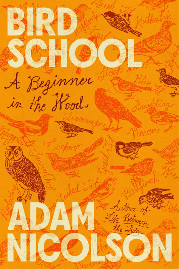 Bird School : A Beginner in the Wood
