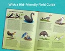Families of a Feather : A Celebration of Family Diversity