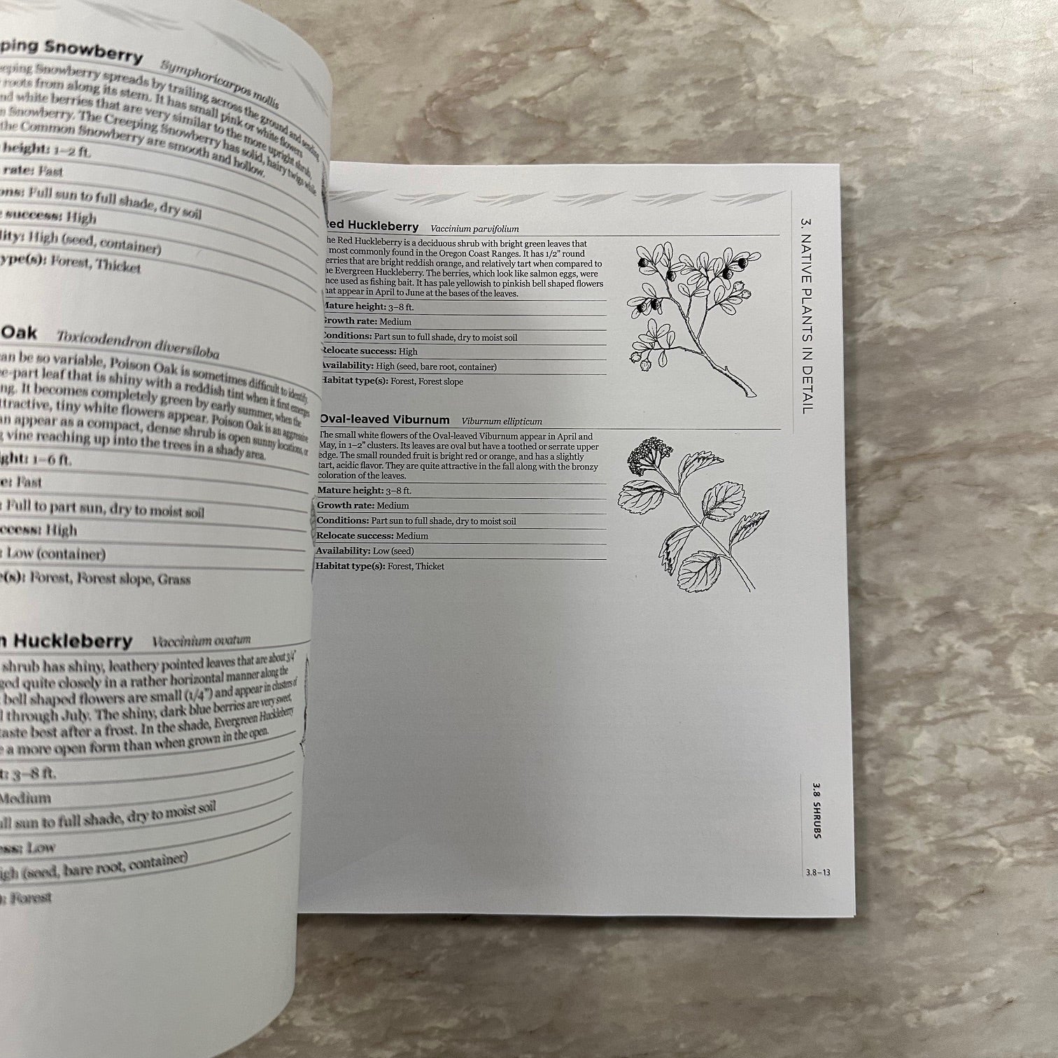 Portland Plant List