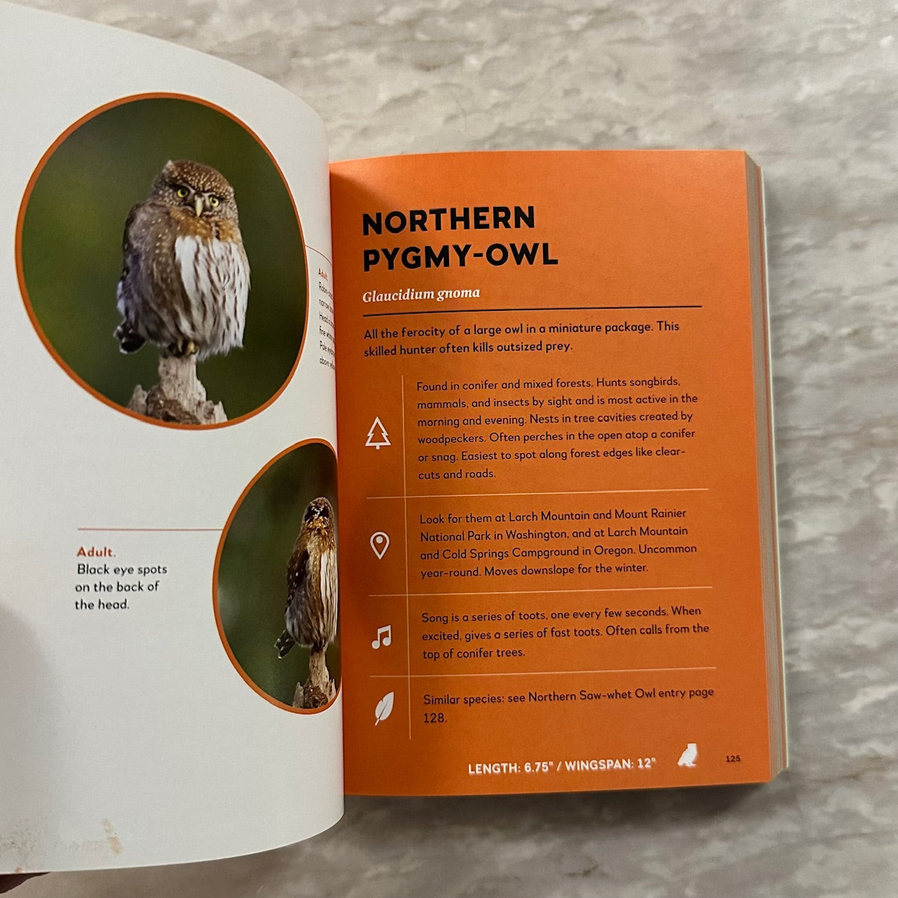 Best Little Book of Birds: The Cascade Range & Columbia River Gorge