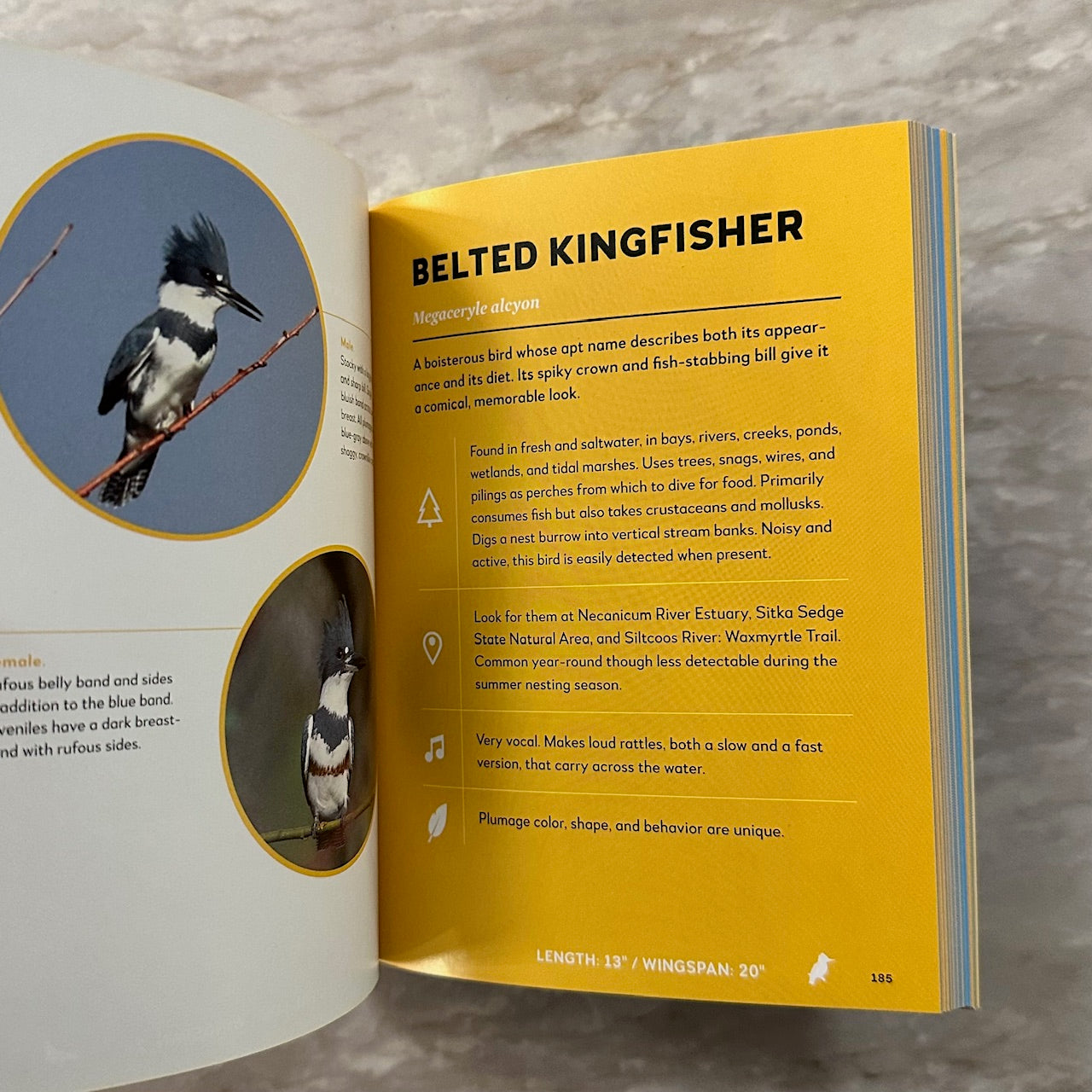 Best Little Book of Birds: Oregon Coast