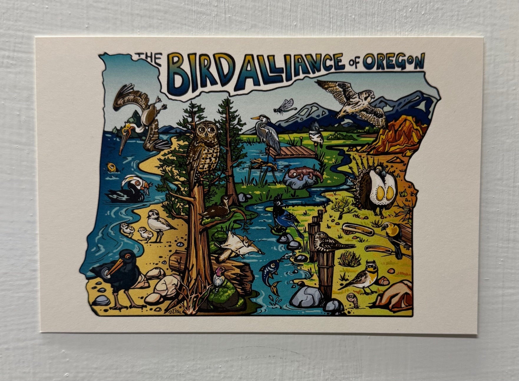 Bird Alliance of Oregon Postcard