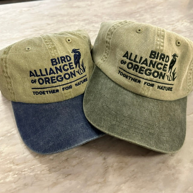 BAO Two-tone Cap