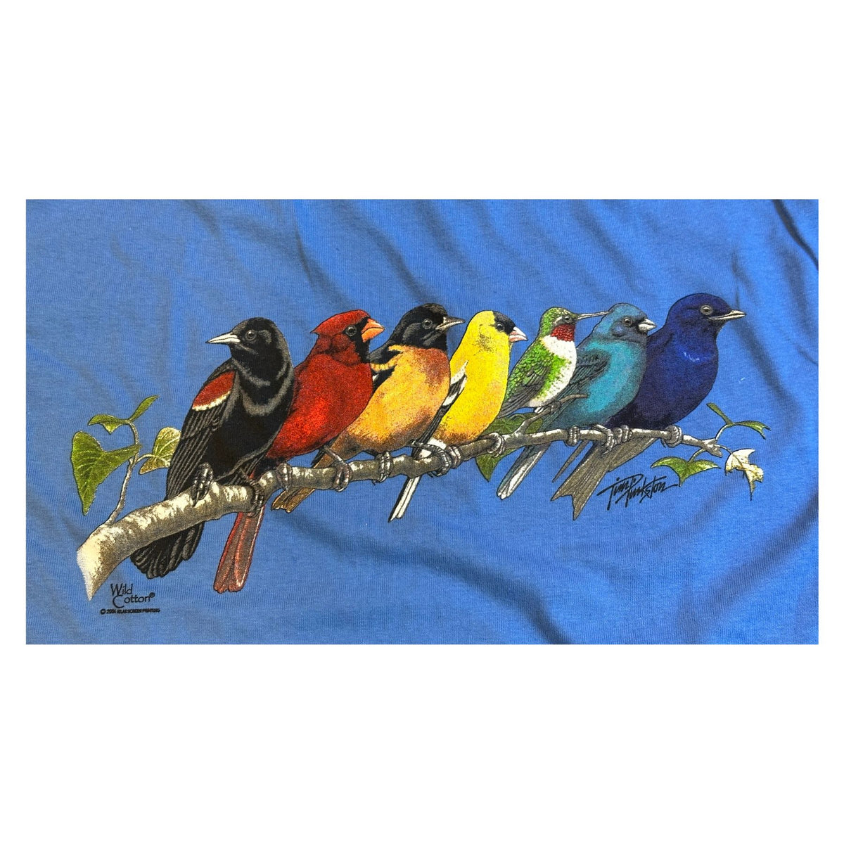 Songbird Spectrum Tee