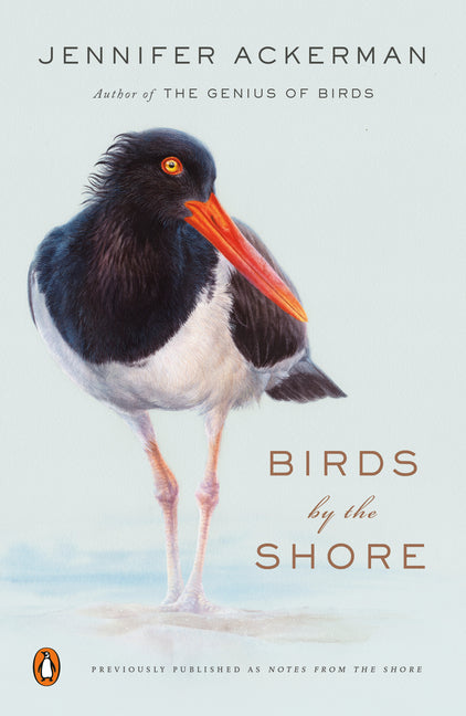 Birds By The Shore