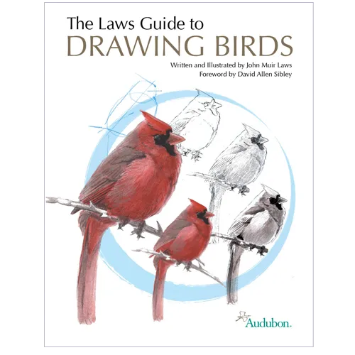 Laws Guide to Drawing Birds